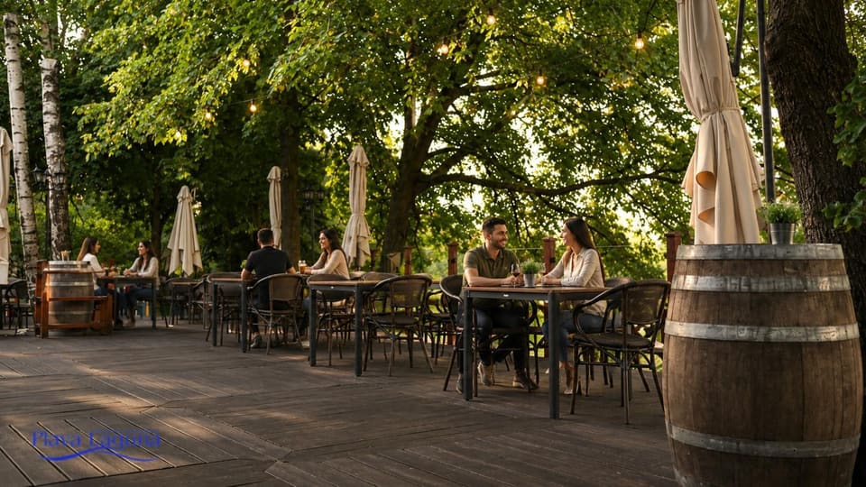 Stolovi na terasi pred veče, vinska burad i sijalice među granama