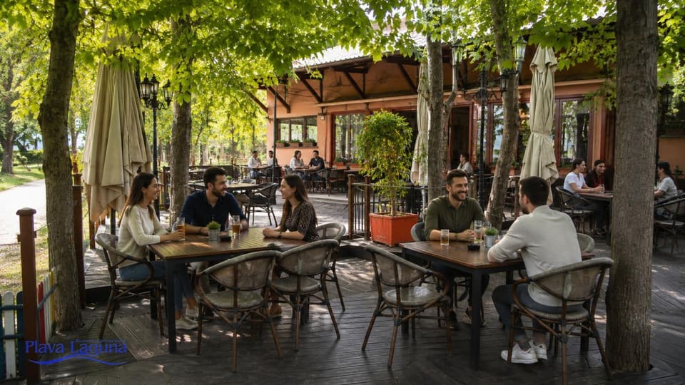 Letnja terasa pod krošnjama drveća, gosti za stolovima u hladu